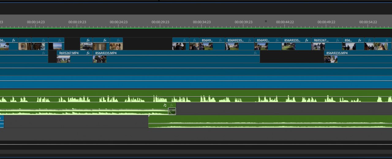 Diego-Susie-Timeline